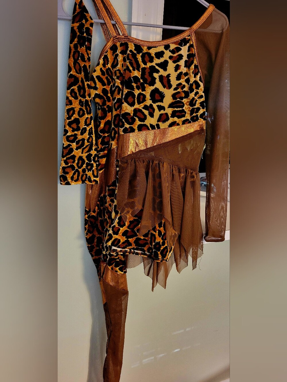 Leopard Print Brown Mesh Costume